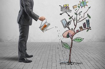 Guia do Gerente de Projetos! 4 dicas para ser um excelente profissional