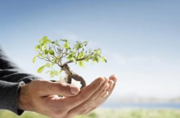 Gerenciando Projetos de Vida