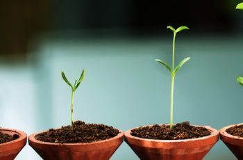 5 passos para implementar uma gestão estratégica  eficiente na sua empresa