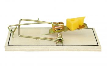 Marketing em Gerenciamento de Projetos: não caia em armadilhas