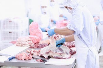 Papelão na carne? Digo, no projeto? Como a falta de planejamento pode ter afetado centenas de produtores de carne no Brasil