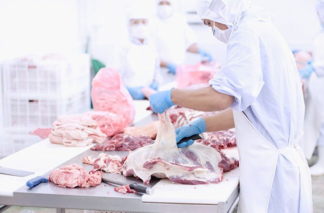 Papelão na carne? Digo, no projeto? Como a falta de planejamento pode ter afetado centenas de produtores de carne no Brasil