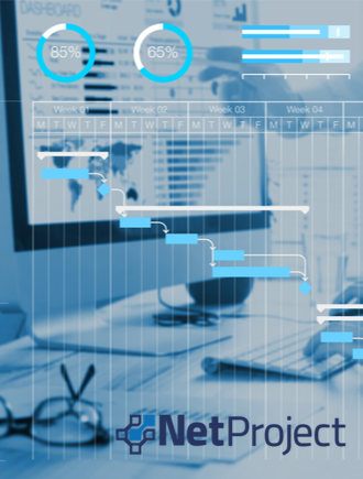 Você não precisa de um cronograma para seu projeto.