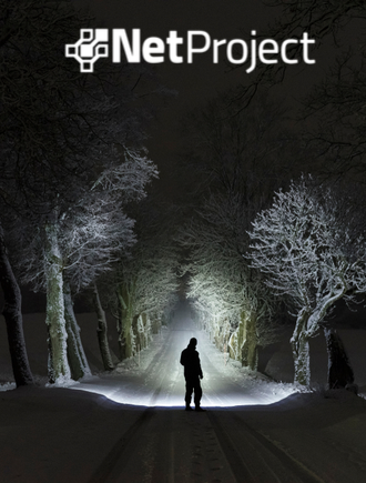 Gestão de riscos na prática, com apoio do NetProject