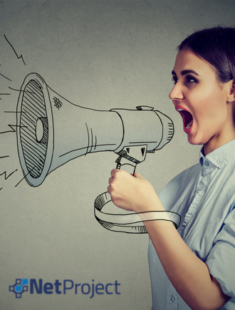 Adaptabilidade e Comunicação não Violenta na Gestão de Projetos