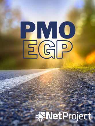 Começando a implantação de um PMO com o pé direito