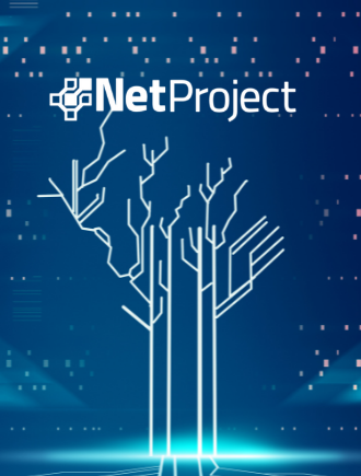 Crescimento de mercado de TI: Como a Gestão de Projetos e equipes pode contribuir?