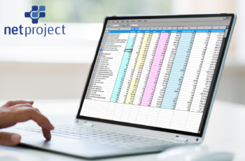 Uso de Planilhas para Gerenciamento de Projetos vantagens e desvantagens